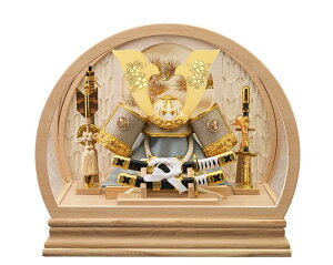 ܌l` [߂̐ߋ P[X  kl L^̊ v265-723 ANP[X RpNg yʁ@