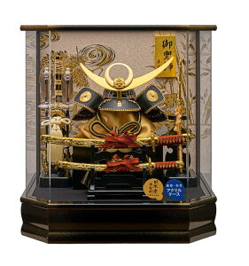 ܌l` [߂̐ߋ P[X  ZpE 㐙M̊ v265-738 ANP[X RpNg yʁ@