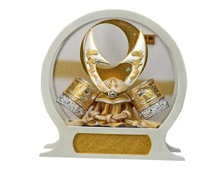 P[X@R@215|748A@グL`@35cm@36@s16@ʐFh@苾^ANP[X@IS[t@RpNg@yʁ@܌l`@[߂̐ߋ@ߋ@j@