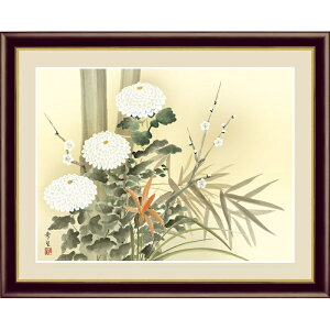 zG { Ԓ ylNqz kR G4-BK052 [s]