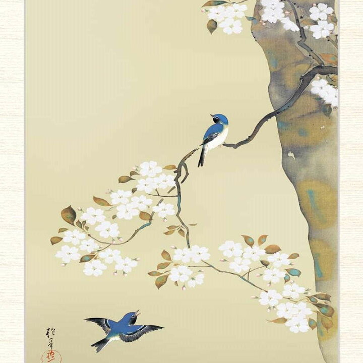 楽天市場】日本の名画 酒井抱一 桜に小禽図 F8 [g4-bn147-F8]（代引き 