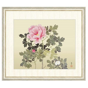 {̖ Hct O F8 [g4-bn167-F8]isj