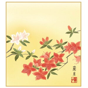 FG  [K1-13A]isj