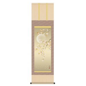 | { Ԓ t  (悴) ڎO (KZ3MA2-094) (s)