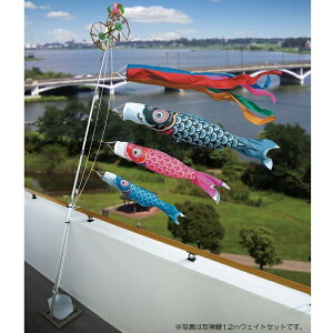 i ̂ڂ x_p EFCgZbgi܁j|[tZbg 3CFT ܐF {̓` ̂ڂ