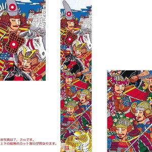 i ҂̂ڂ ҊG FTPi 7.2m i90cmj Pi[152-110] {̓` ܌l`