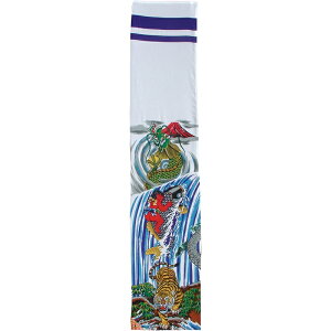 i ҂̂ڂ o FTߓo 2.5m X^hi܁j |[tZbg [151-165] {̓` ܌l`