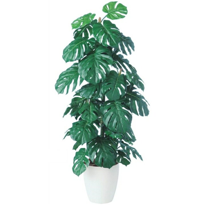 楽天市場】人工観葉植物 モンステラ 140 ポット付き 高さ140cm （P93 