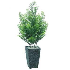 lHϗtA qo 45 |bgt 45cm iP81-91407) isj CeAO[ tFCNO[