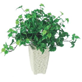 人工観葉植物 シサス R ポット付き 高さ35cm （P107-91492) （代引き不可） インテリアグリーン フェイクグリーン