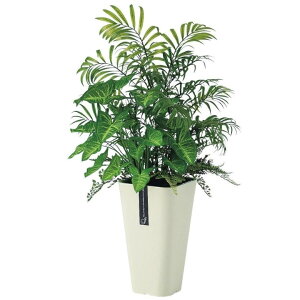 lHϗtA e[uV AW |bgt 65cm iP101-91648) isj CeAO[ tFCNO[