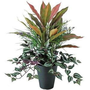 �l�H�ϗt�A�� ���b�h�G�b�W MIX �u�b�V�� �|�b�g�t�� ����50cm �iP101-91650) �i������s�j �C���e���A�O���[�� �t�F�C�N�O���[��