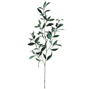 �l�H�ϗt�A�� �u���b�N�I���[�u �X�v���[ ����75cm �iP145-91664) �i������s�j �C���e���A�O���[�� �t�F�C�N�O���[��