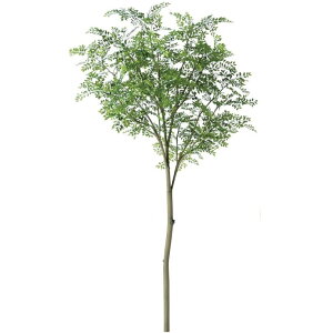 lHϗtA S[f[t 4L X^C FST c[x[Xt 280cm iP36-91714-91706lb) isj CeAO[ tFCNO[