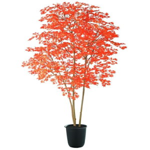 lHϗtA }~W 200 RED FST |bgt 200cm iP124-91771) isj CeAO[ tFCNO[