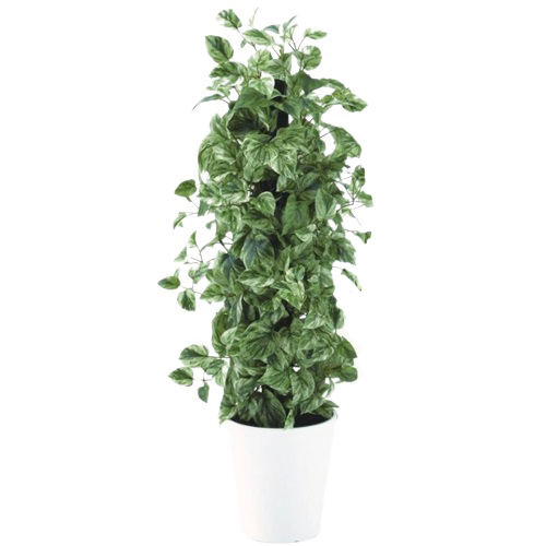 人工観葉植物 マーブルポトスヘゴ 90 Pole style ポット付き 高さ90cm （P70-91808) （代引き不可） インテリアグリーン フェイクグリーンのサムネイル