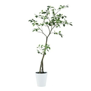 人工観葉植物 ガジュマル FST 150 ポット付き 高さ150cm (P51-91812) (代引き不可) インテリアグリーン フェイクグリーン