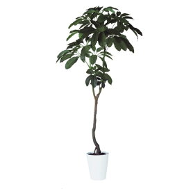 人工観葉植物 ブラッサイア 210 ポット付き 高さ210cm （P45-91882) （代引き不可） インテリアグリーン フェイクグリーン