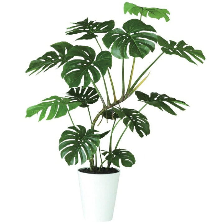 楽天市場】人工観葉植物 ワイルドモンステラ 140 ポット付き 高さ140cm 