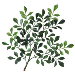 �l�H�ϗt�A�� �g�l���R �X�v���[ ����35cm �iP145-91889) �i������s�j �C���e���A�O���[�� �t�F�C�N�O���[��