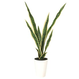 人工観葉植物 サンスベリア ポット付き 高さ65cm （P98-91894) （代引き不可） インテリアグリーン フェイクグリーン