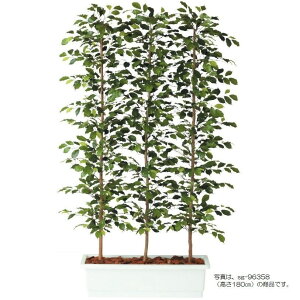 lHϗtA tBbJXxV~i p[eBV 150 natural |bgt 150cm iP61-96360) isj CeAO[ tFCNO[