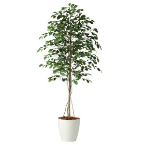 lHϗtA tBbJXxV~i 180 natural |bgt 180cm iP57-98518) isj CeAO[ tFCNO[