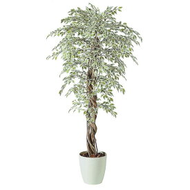 人工観葉植物 ベンジャミナスターライトリアナ 180 natural ポット付き 高さ180cm （P59-98527) （代引き不可） インテリアグリーン フェイクグリーン