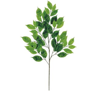 lHϗtA xW~iXvbV Xv[ 67cm iP146-98794) isj CeAO[ tFCNO[