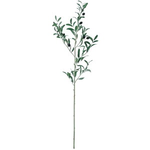 �l�H�ϗt�A�� �I���[�u�E�l�o�f�B�� S �X�v���[ ����97cm �iP145-98801) �i������s�j �C���e���A�O���[�� �t�F�C�N�O���[��