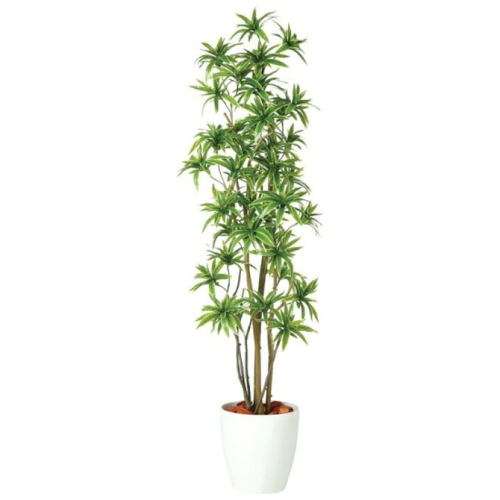 楽天市場】人工観葉植物 ソング・オブ・インディア FST 180 ポット付き 