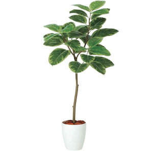 lHϗtA AeV} FST 120 |bgt 120cm iP49-98935) isj CeAO[ tFCNO[