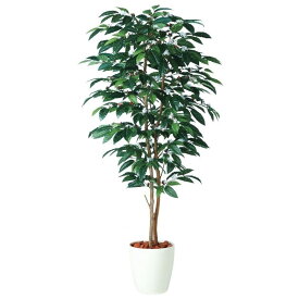人工観葉植物 コーヒーデュアル 180 ポット付き 高さ180cm （P80-98989) （代引き不可） インテリアグリーン フェイクグリーン