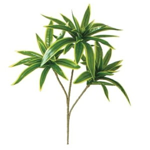 lHϗtA CfBA Xv[ S 35cm iP144-99024) isj CeAO[ tFCNO[