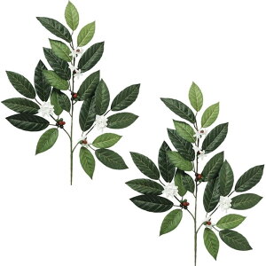 �l�H�ϗt�A�� �R�[�q�[ �X�v���[ �i2�{����j ����60cm �iP145-99026) �i������s�j �C���e���A�O���[�� �t�F�C�N�O���[��