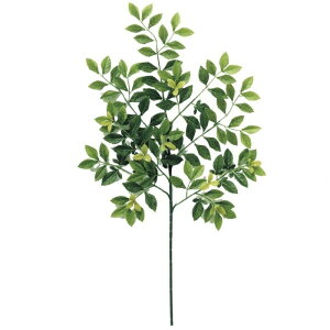 �l�H�ϗt�A�� �S�[���f�����[�t �X�v���[ ����60cm �iP145-99029) �i������s�j �C���e���A�O���[�� �t�F�C�N�O���[��
