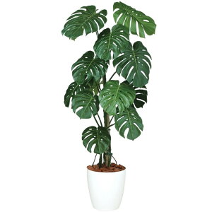 人工観葉植物 モンステラバイン 150 ポット付き 高さ150cm (P93-99127) (代引き不可) インテリアグリーン フェイクグリーン