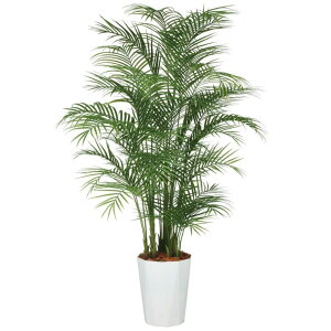 �l�H�ϗt�A�� �A�J�V���V PE MIX 220 �|�b�g�t�� ����220cm �iP84-99162) �i������s�j �C���e���A�O���[�� �t�F�C�N�O���[��