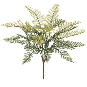 lHϗtA tFU[t@ ubV 35cm iP137-99264) isj CeAO[ tFCNO[