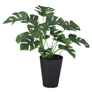 lHϗtA Xe ubV |bgt 40cm iP111-99311) isj CeAO[ tFCNO[