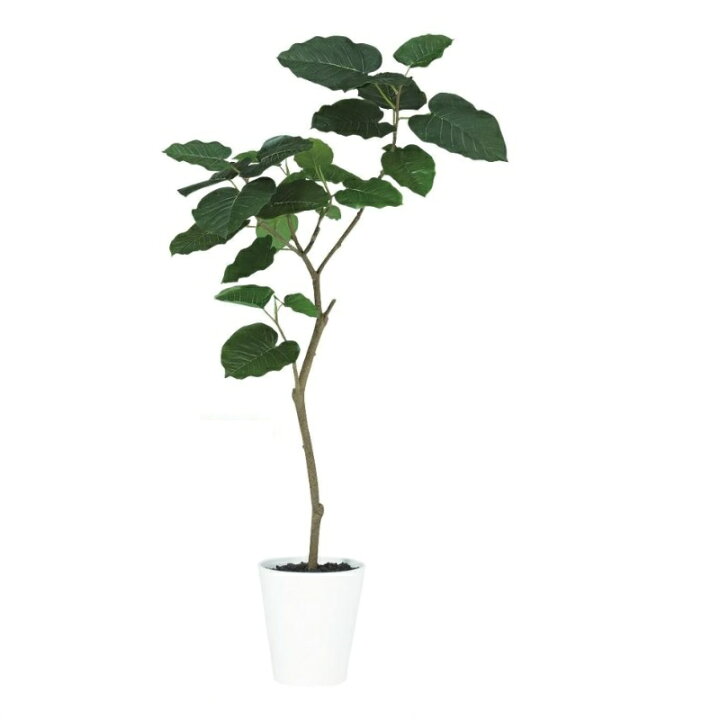 楽天市場】人工観葉植物 HQ ウンベラータ FST 120 ポット付き 高さ 