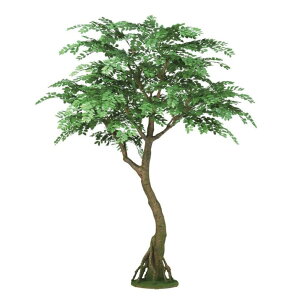 lHϗtA AJVA RAbh 200 200cm iP12-99348) isj CeAO[ tFCNO[