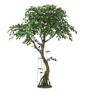 lHϗtA tBbJXxV~i RAbh 230 |bgt 230cm iP13-99353) isj CeAO[ tFCNO[