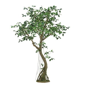 人工観葉植物 ガジュマル コアッド 200 高さ200cm (P14-99364) (代引き不可) インテリアグリーン フェイクグリーン