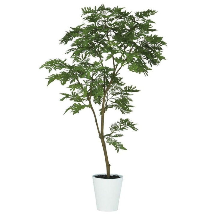 楽天市場】人工観葉植物 エバーフレッシュ FST 150 ポット付き 高さ 