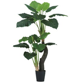 人工観葉植物 クワズイモ株立 160 ポット付き 高さ160cm （P94-99396) （代引き不可） インテリアグリーン フェイクグリーン