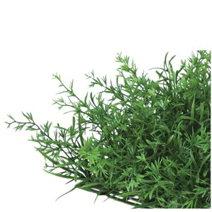 lHϗtA EB[h~bNX }bg 24.5cm iP154-99413) isj CeAO[ tFCNO[