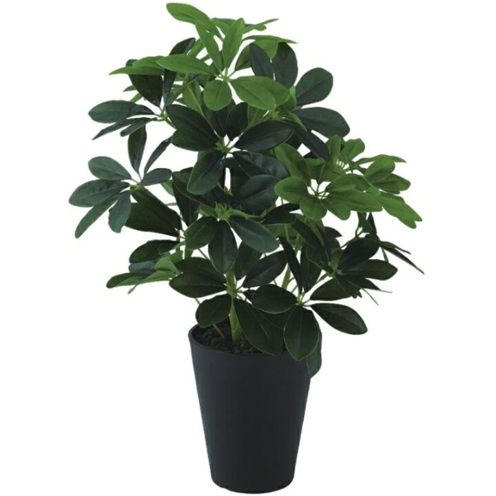楽天市場】人工観葉植物 グリーンカボック M ポット付き 高さ50cm 