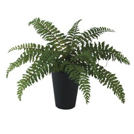 人工観葉植物 ボストンファン ポット付き 高さ30cm （P99-99468) （代引き不可） インテリアグリーン フェイクグリーン