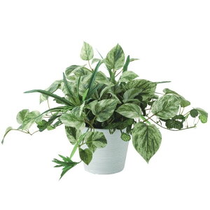 lHϗtA }[u|gX MIX |bgt 25cm iP103-99518) isj CeAO[ tFCNO[